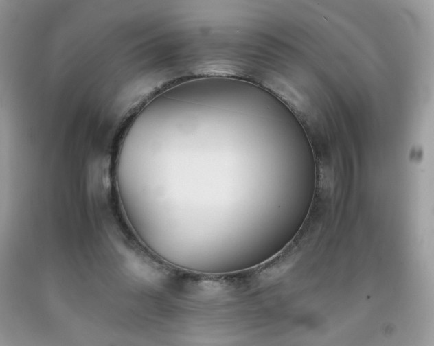 X0000092020302200709061559