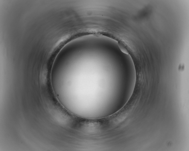 X0000092020304200709061559