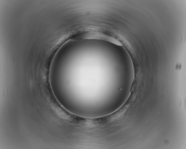 X0000092020305200709061559