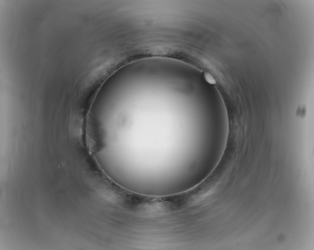 X0000092020307200709061559