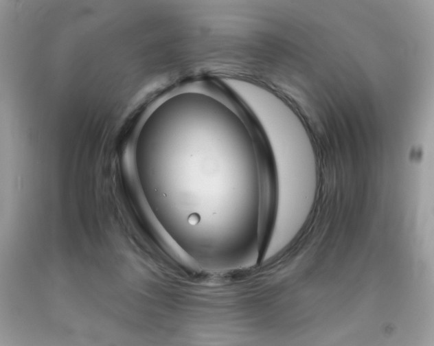 X0000092020308200709061559