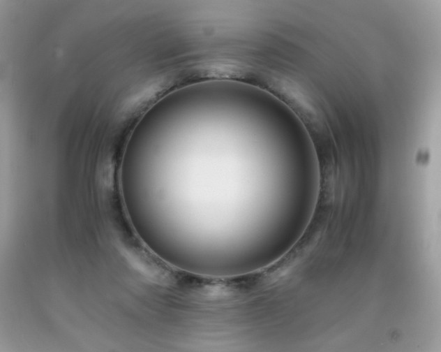 X0000092020310200709061559