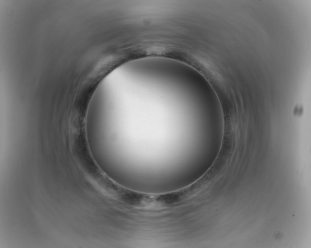 X0000092020311200709061559