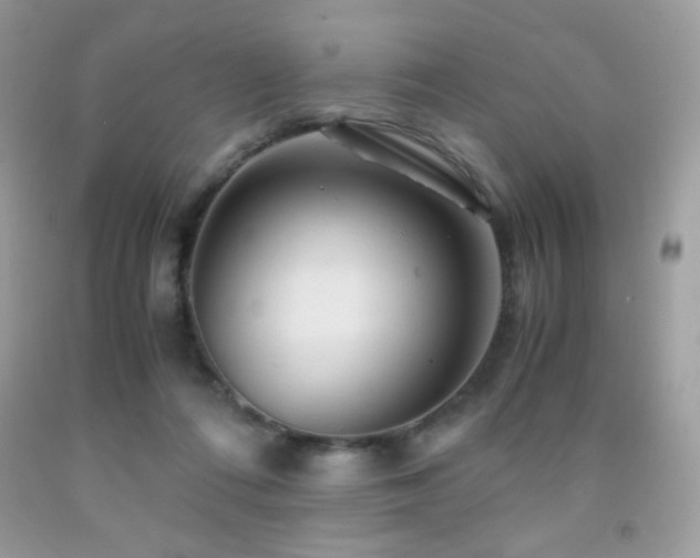 X0000092020312200709061559
