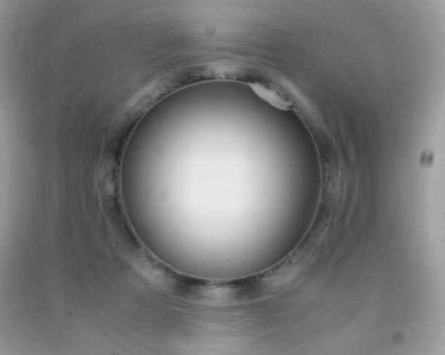 X0000092020313200709061559