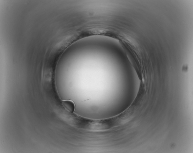 X0000092020315200709061559