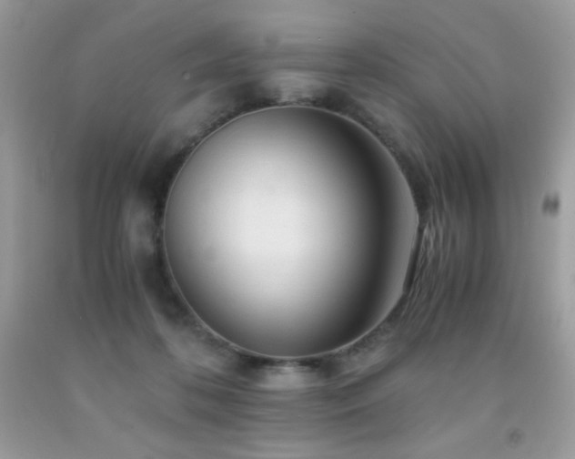 X0000092020316200709061559