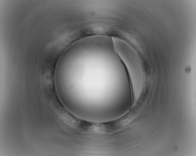 X0000092020317200709061559