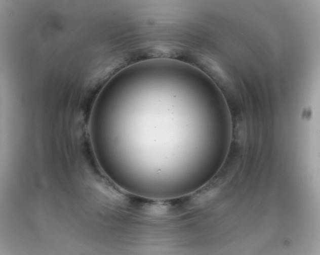 X0000092020318200709061559