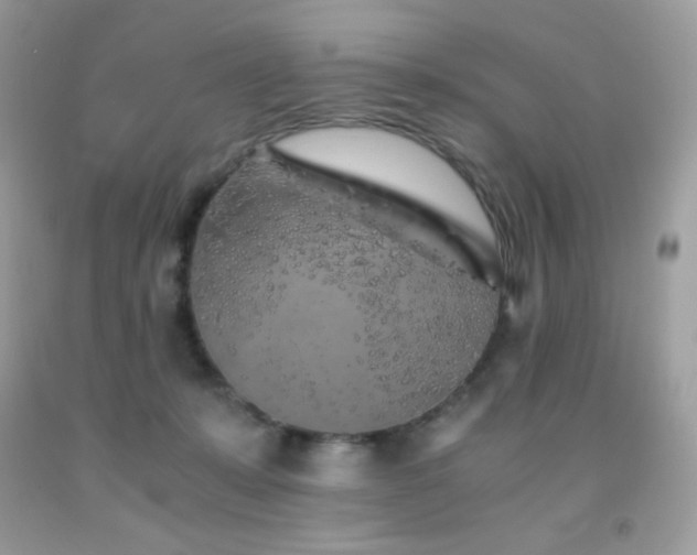 X0000092020319200709061559