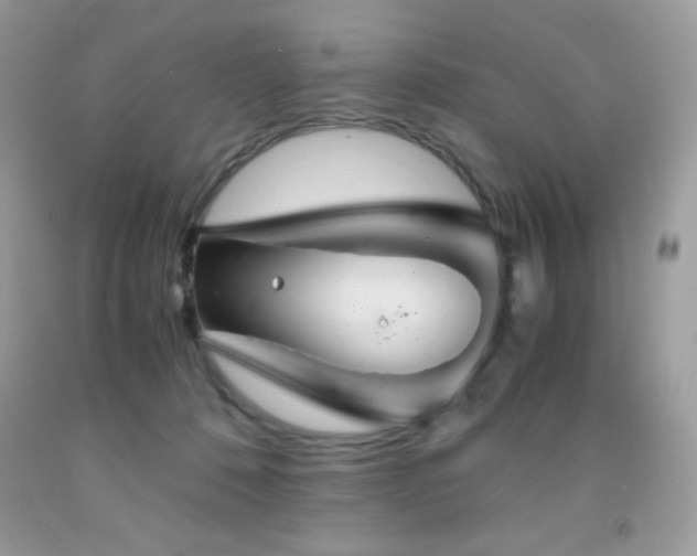 X0000092020320200709061559