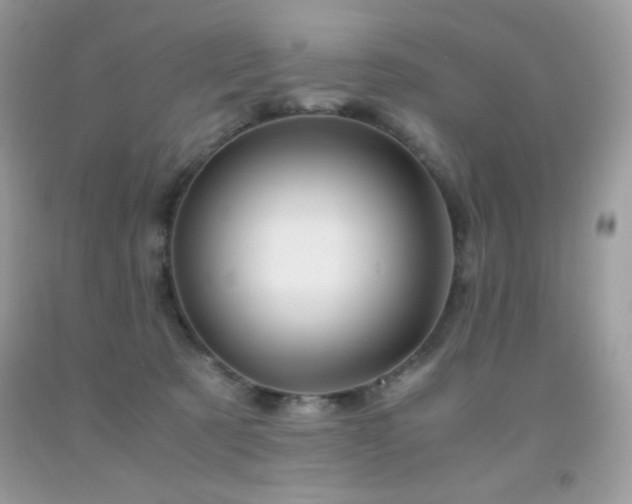X0000092020321200709061558