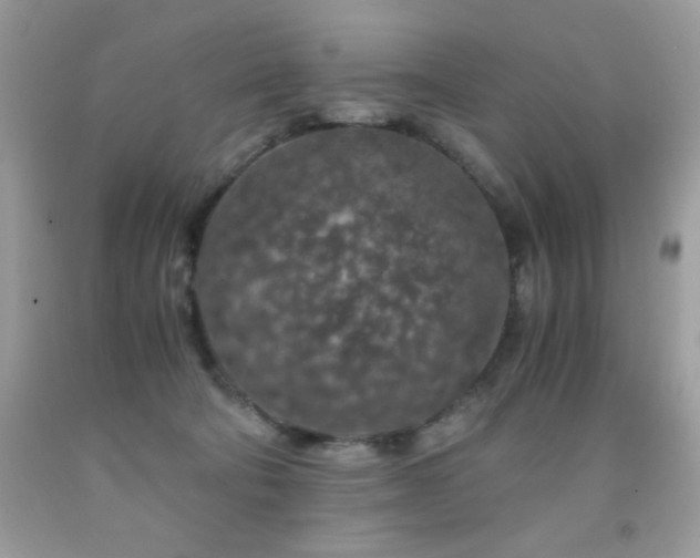 X0000092020322200709061558