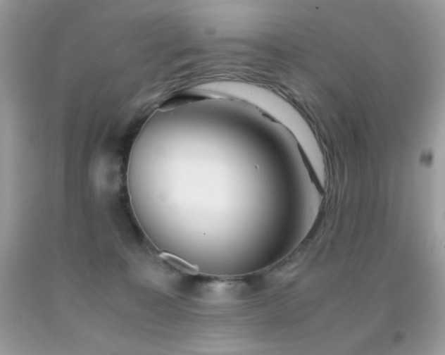X0000092020323200709061558
