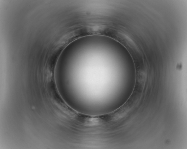 X0000092020324200709061558