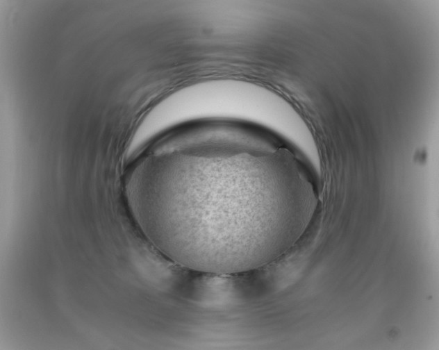 X0000092020325200709061558
