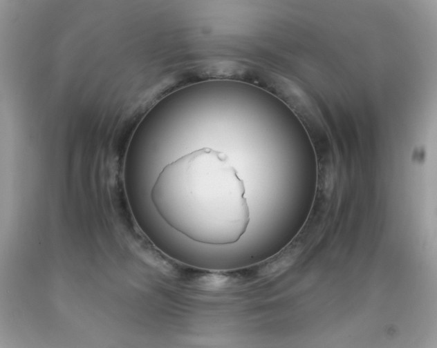 X0000092020326200709061558