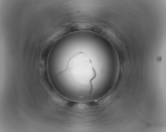X0000092020327200709061558