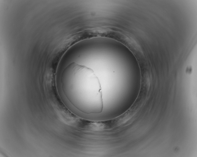 X0000092020328200709061558