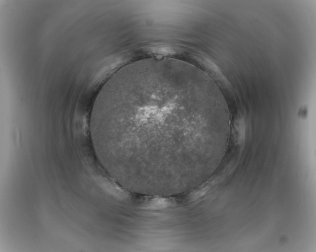 X0000092020330200709061558