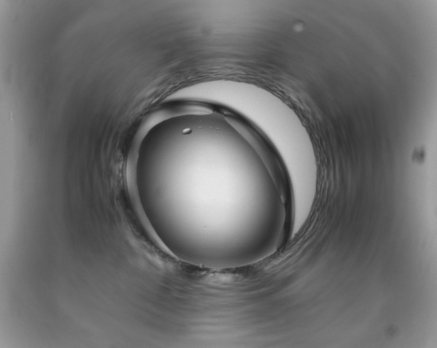 X0000092020332200709061558