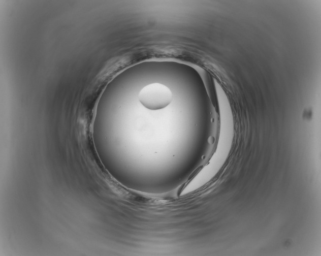 X0000092020333200709061558