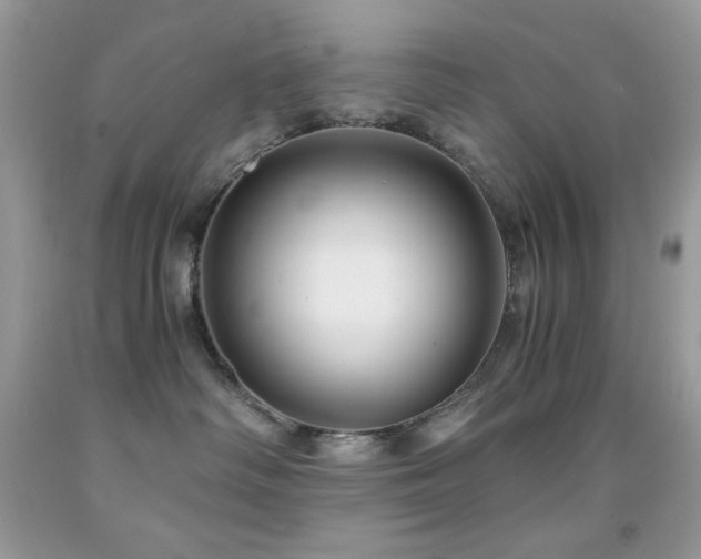 X0000092020334200709061558