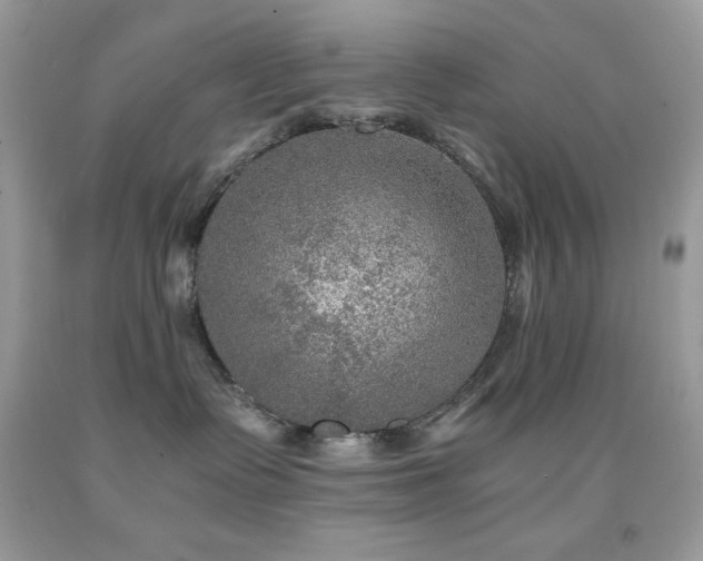 X0000092020335200709061558