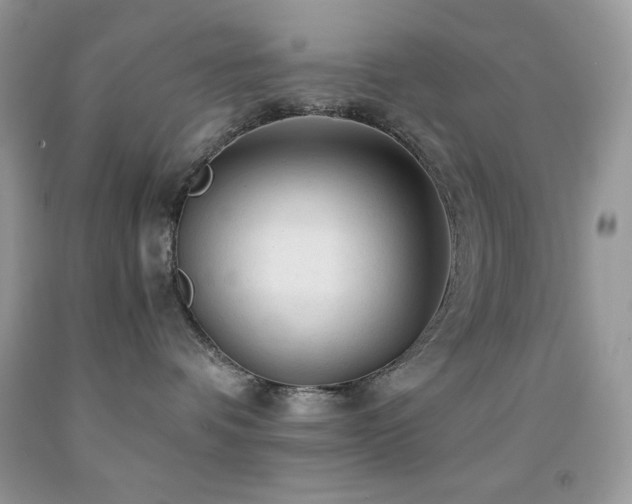 X0000092020336200709061558