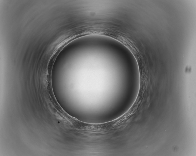 X0000092020338200709061558