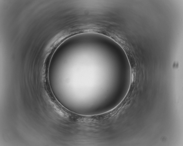 X0000092020339200709061558