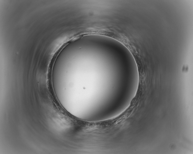 X0000092020340200709061558