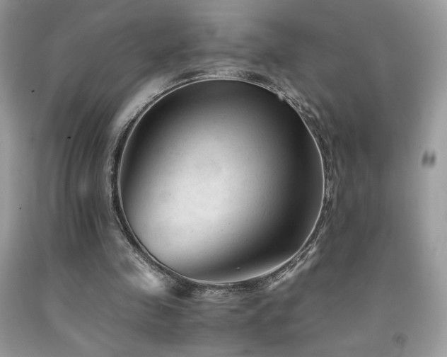 X0000092020341200709061558