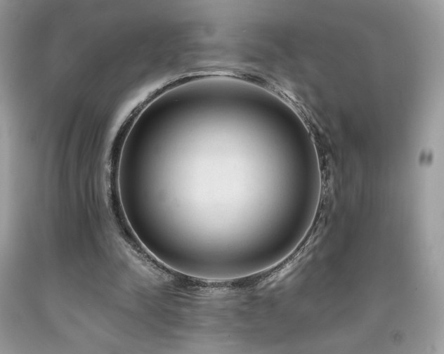 X0000092020342200709061558