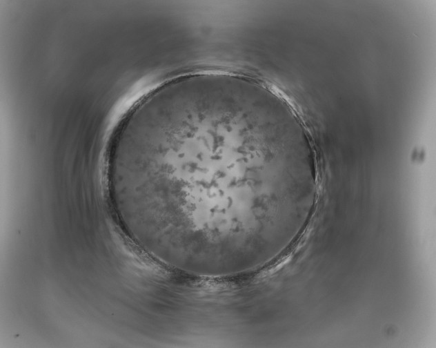 X0000092020343200709061558