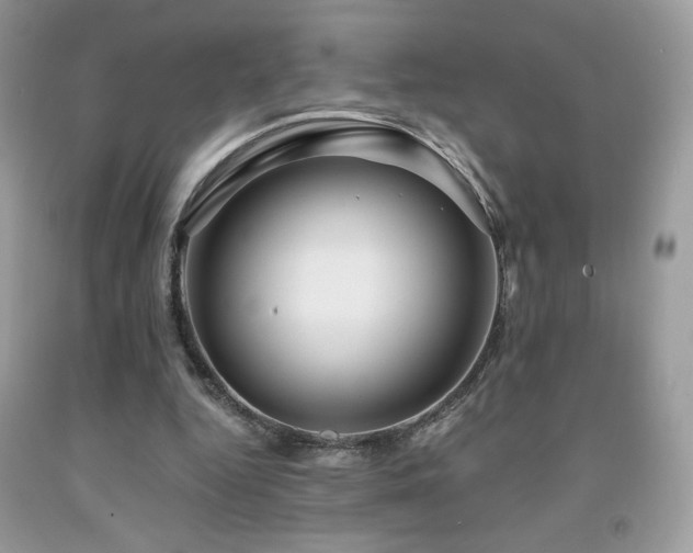 X0000092020344200709061558