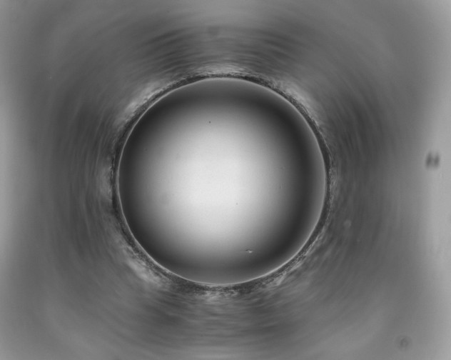 X0000092020345200709061558