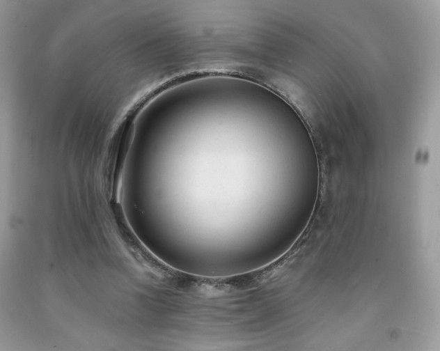 X0000092020346200709061558