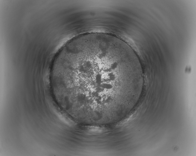 X0000092020347200709061558