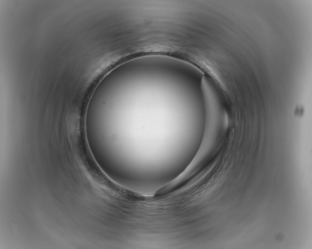 X0000092020348200709061558