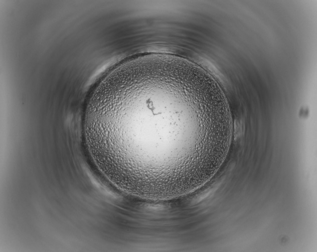 X0000092020349200709061558