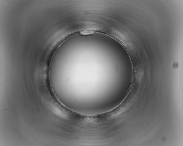 X0000092020350200709061558