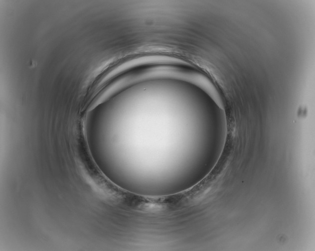 X0000092020352200709061558