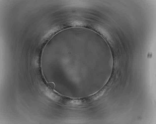 X0000092020353200709061558