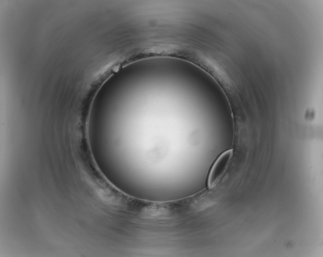 X0000092020354200709061558