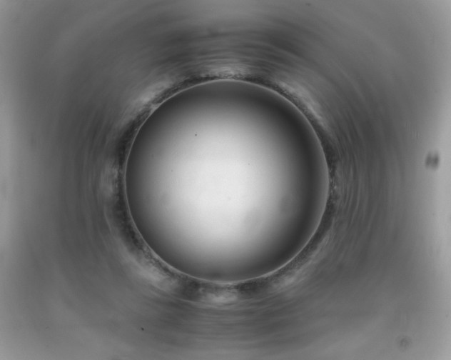 X0000092020355200709061558