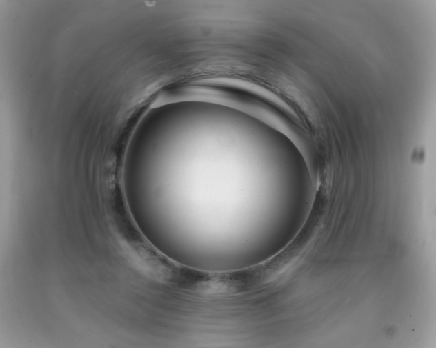 X0000092020356200709061558
