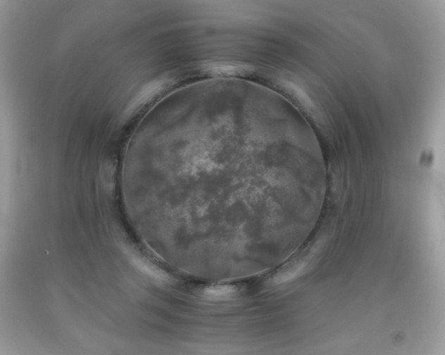X0000092020357200709061558