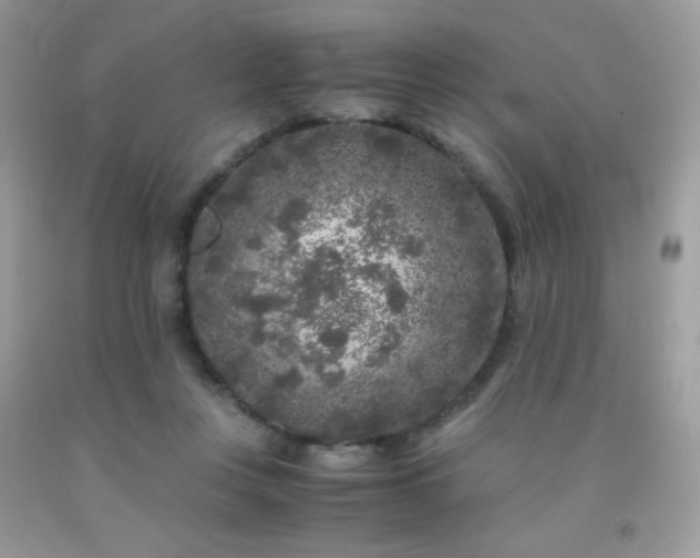 X0000092020359200709061558