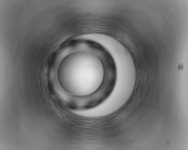 X0000092020360200709061558